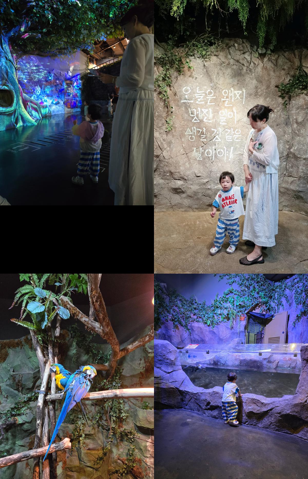 주렁주렁 영등포점에서 다양한 공간을 체험하며 동물들과 교감하고 있는 아이의 모습. 환상적인 빛의 나무, 감성적인 벽 문구, 화려한 앵무새, 수달 수조 앞에서 호기심을 보이는 아이가 2행 2열 이미지에 담겨 있음