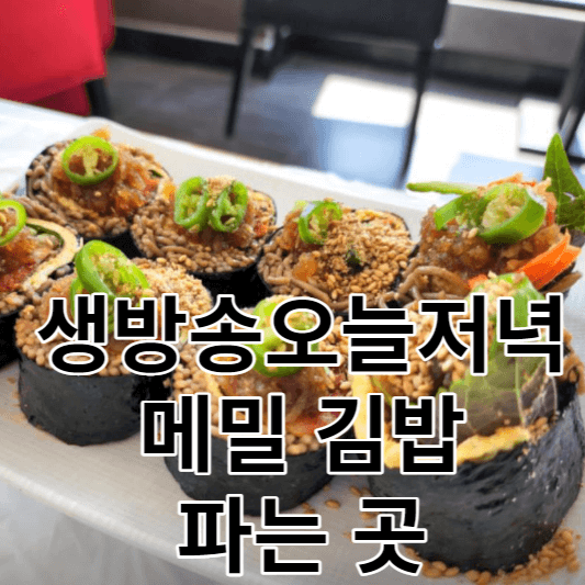 생방송오늘저녁 메밀김밥