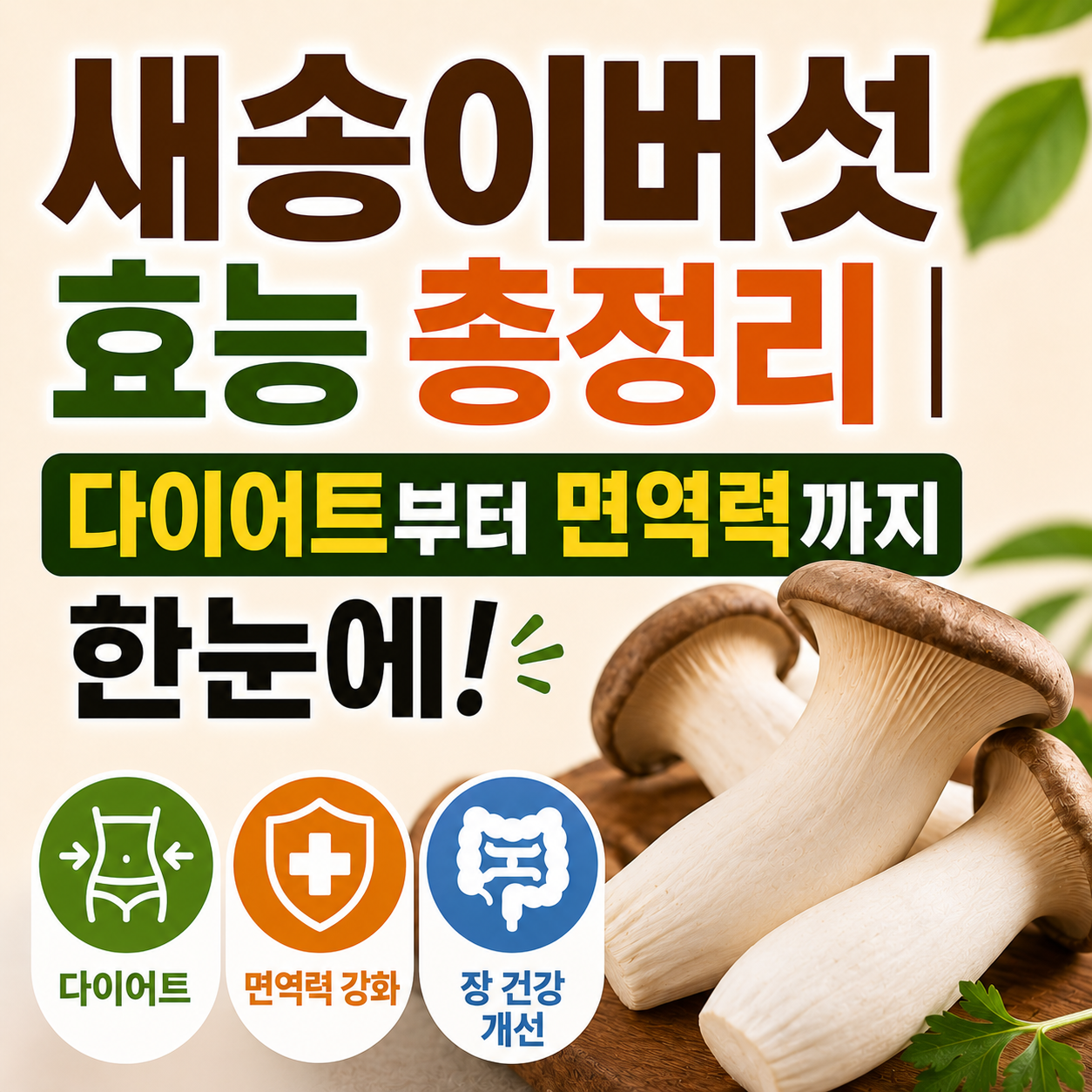 새송이버섯 효능