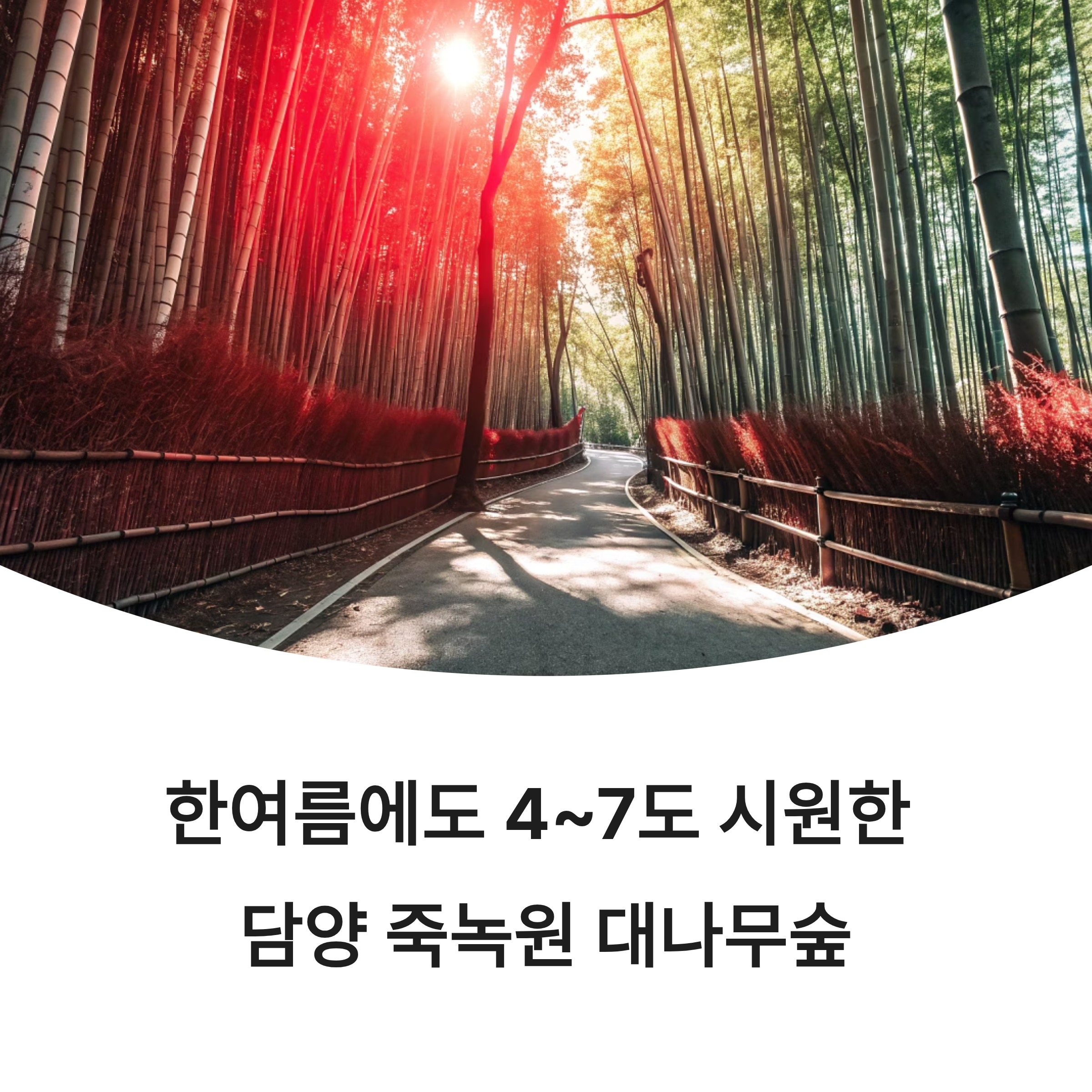 올여름 담양 죽녹원: 외부보다 4도 낮은 시원한 대나무숲 산책 꿀팁!