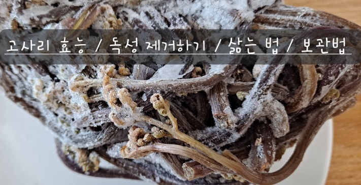 고사리