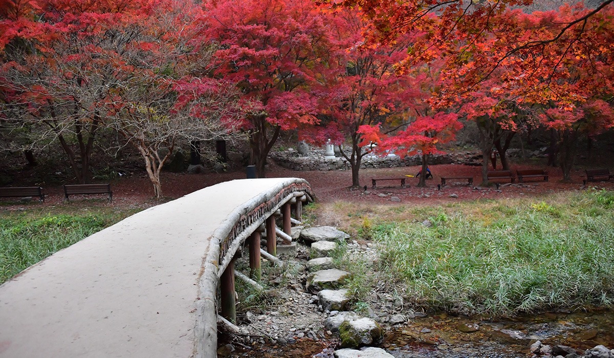 강천산 군립공원 홍보이미지