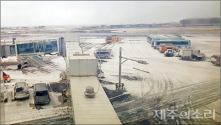 제주결항