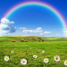 들판에-무지개가-멋있게-떠있는-장면