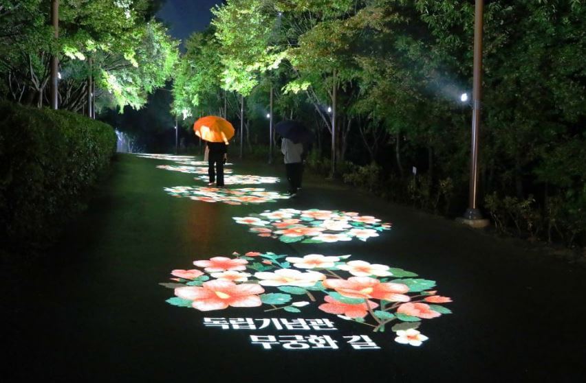 독립기념관 단풍길 불빛축제 일정