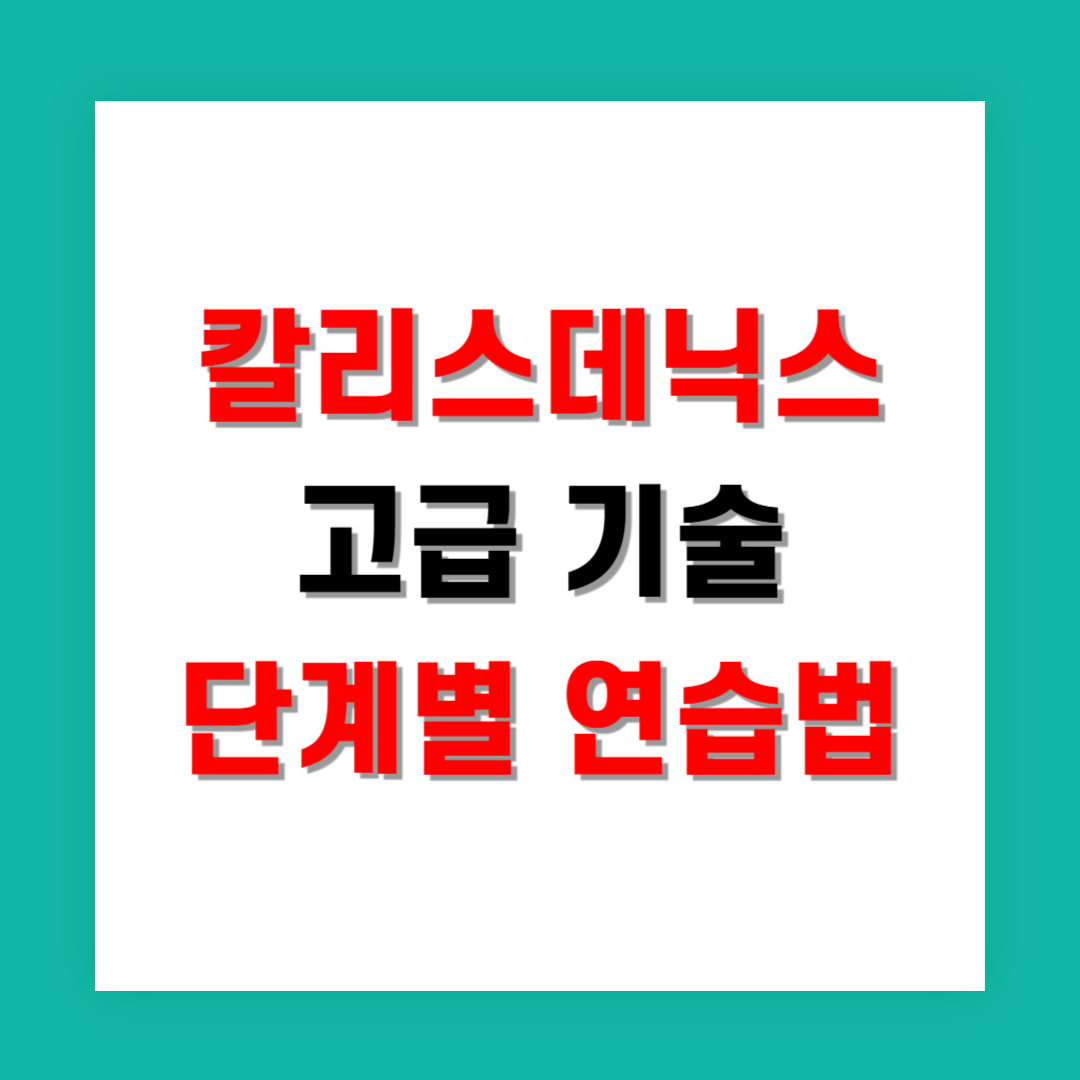 칼리스데닉스 고급 기술 단계별 연습법 정리