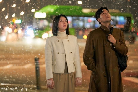 나의 해방일지 사진