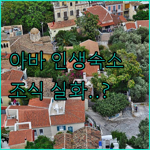 아바 현지인이 추천하는 루프탑 카페와..