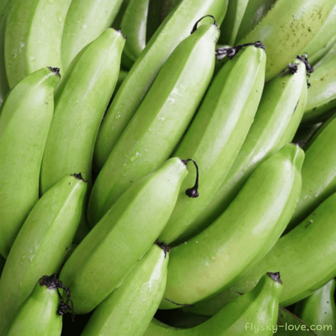 요리용 바나나 플랜테인