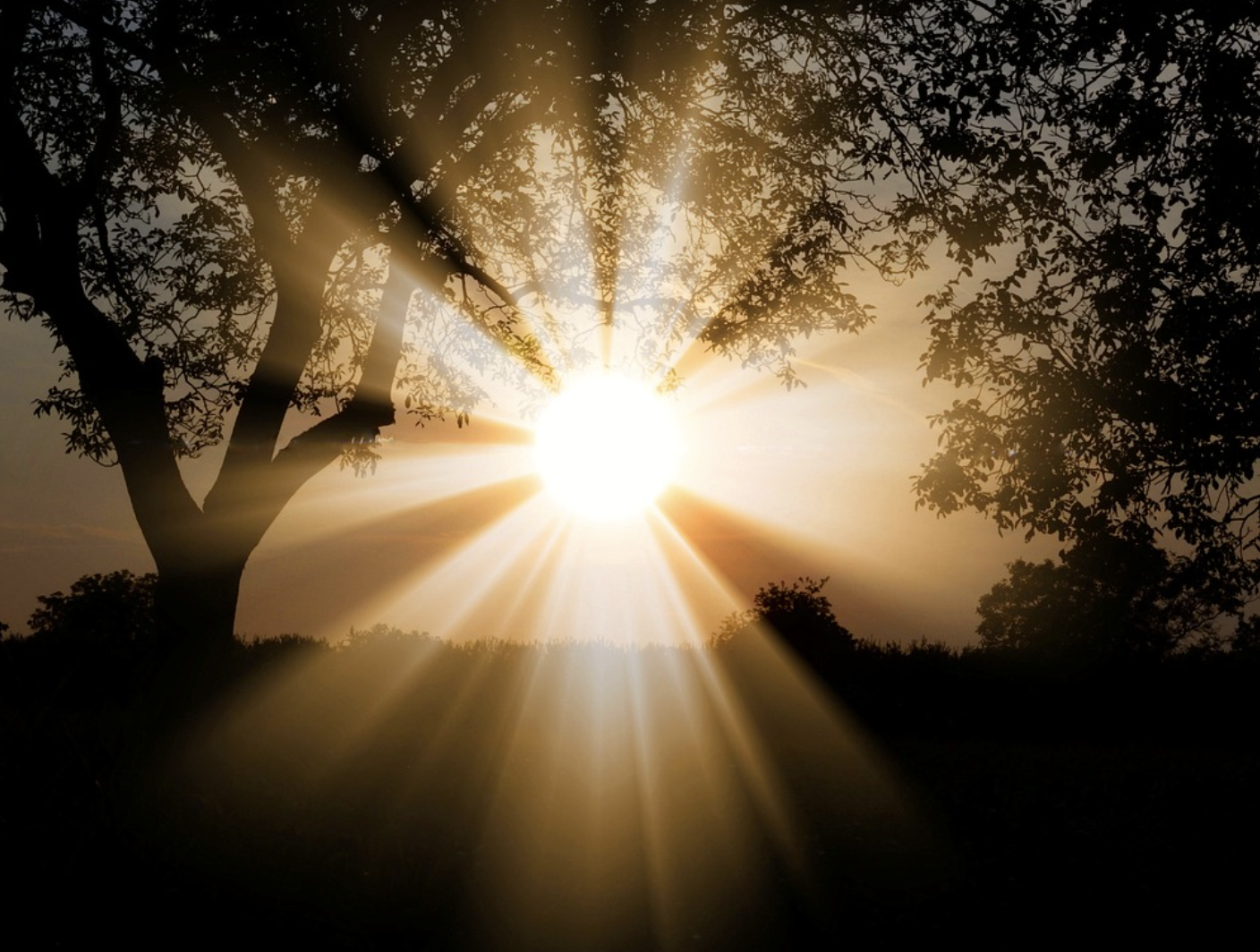 온라인 햇살론 신청(추가대출 재대출 가능여부 확인)