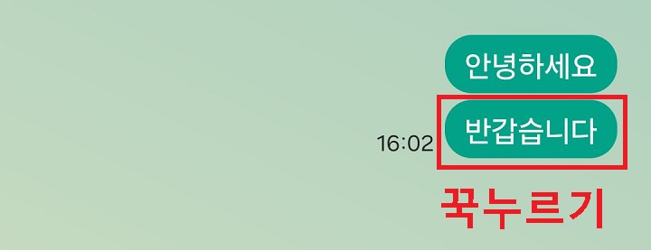 문자 메시지 내용 보임