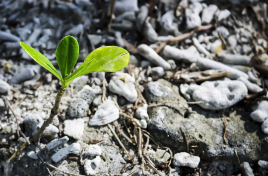 대장암 초기증상 몸이 보내는 신호 알아보기6