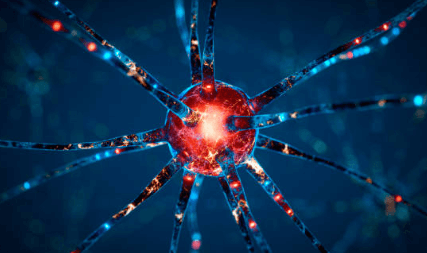 아스파탐 부작용