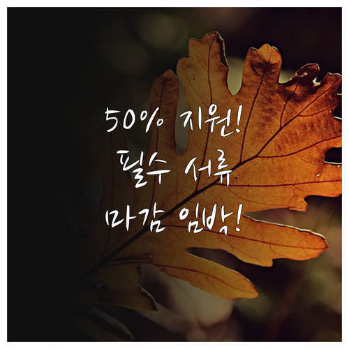 2025 채소 종자업 50% 지원 사..