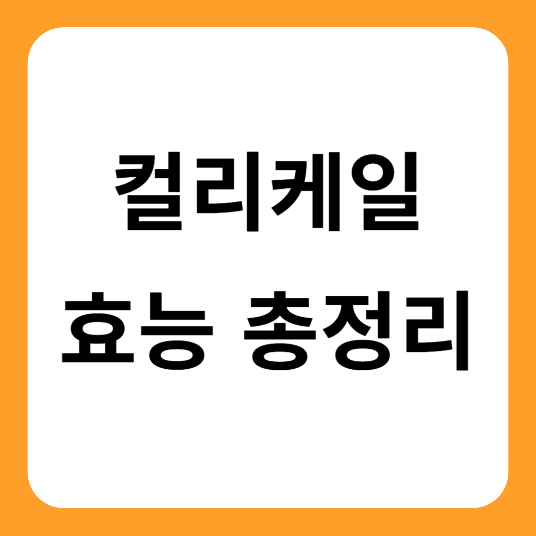 컬리케일 효능