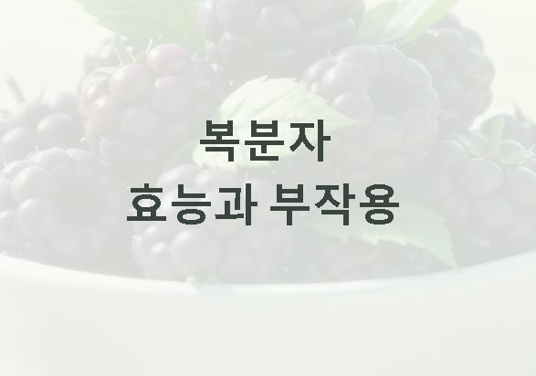 복분자 효능 부작용