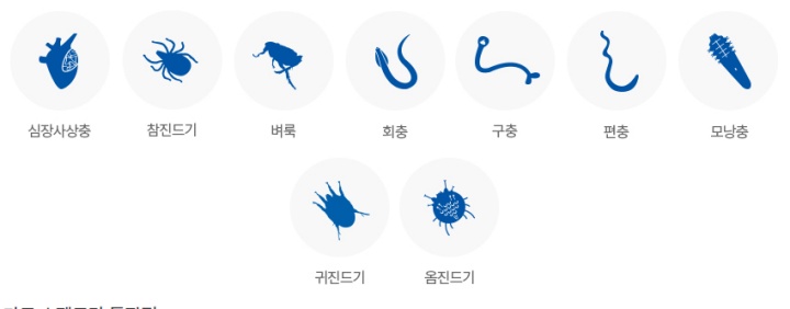 구충제-종류