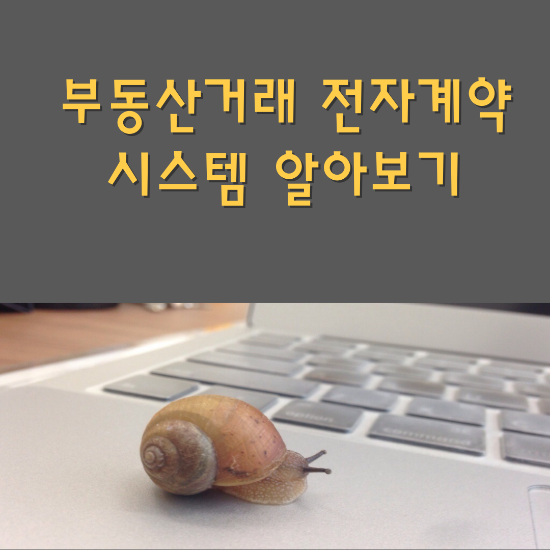부동산 거래 전자계약 시스템