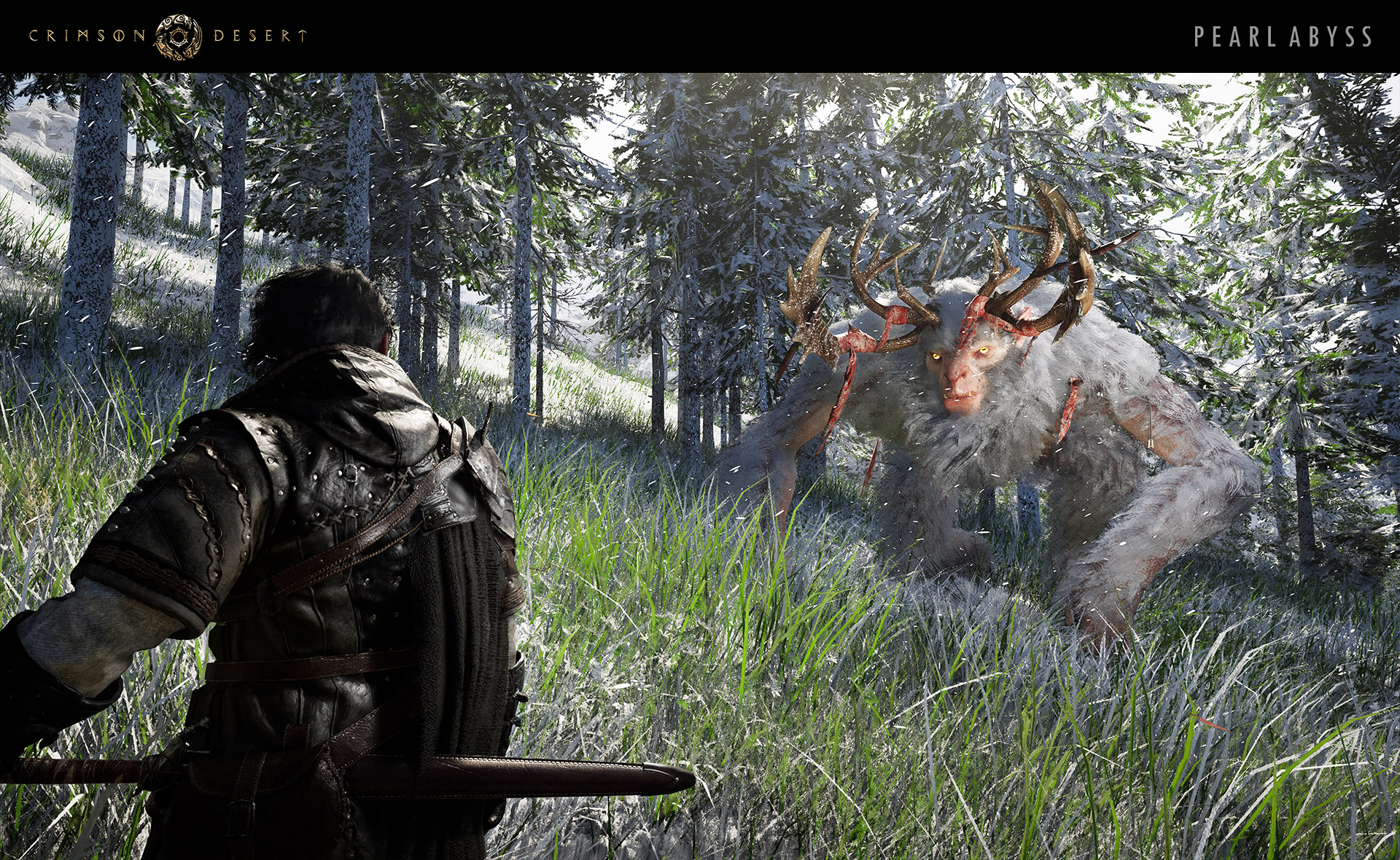 펄어비스 붉은 사막