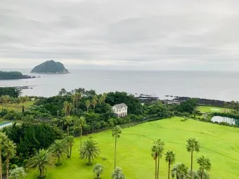 제주 서귀포 카페 추천 디저트 맛집과 뷰 맛집 정리_9