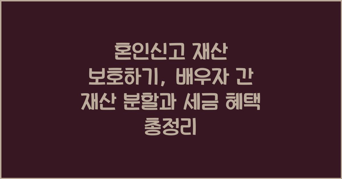 혼인신고 재산