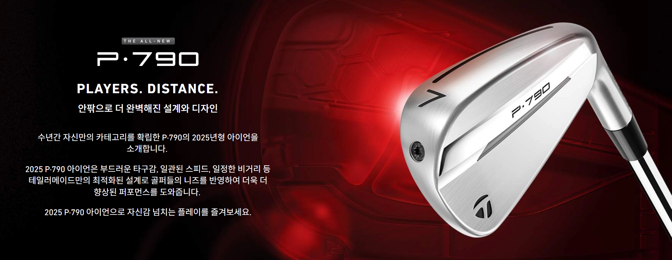 테일러메이드 P790 아이언