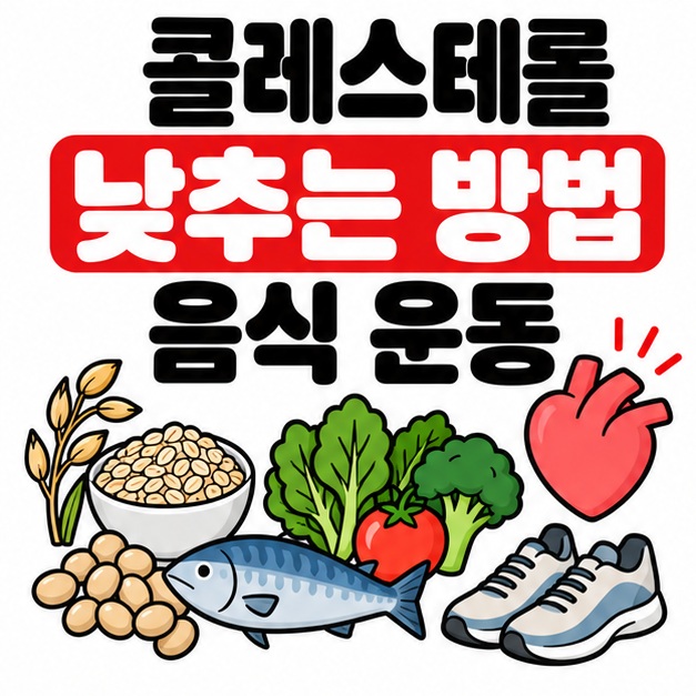 귀리 콩 생선 채소 운동화 아이콘 옆에 콜레스테롤 낮추는 방법 음식 운동 문구를 크게 보여주는 대표 카드