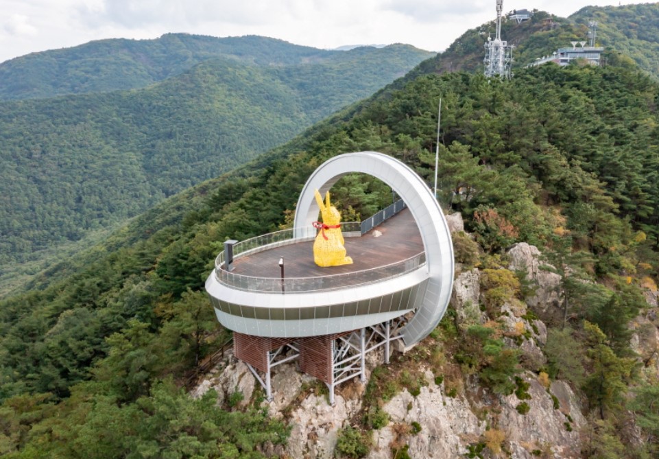 2025 대구로페이 실물카드 모바일 발급 신청 방법 완전 정리!