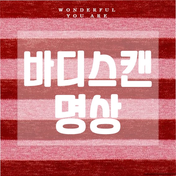 바디스캔 명상 완벽 정리: 심신 안정을 위한 가이드