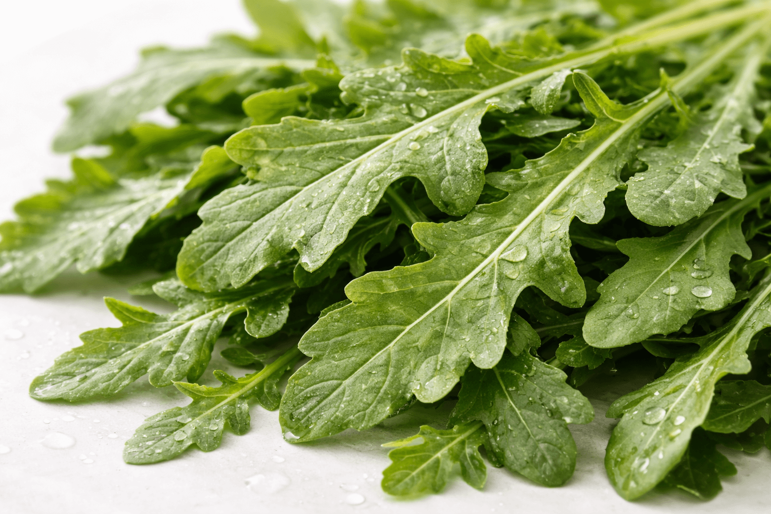 지중해 식단 속 루꼴라 효능과 영양 가치