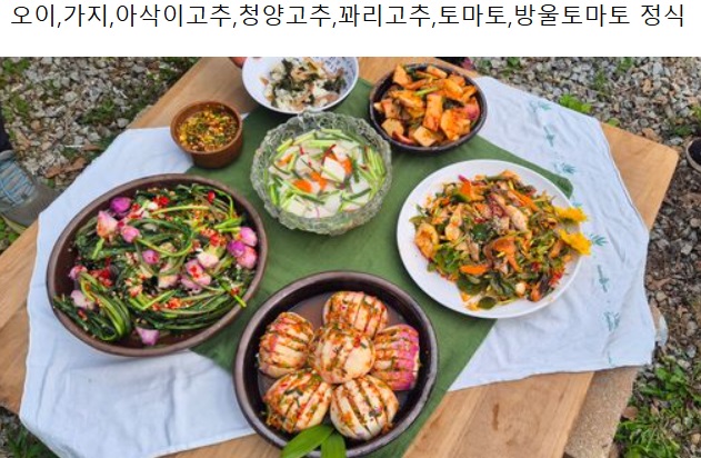 한국인의밥상-김치없이는못살아-강화도-순무김치