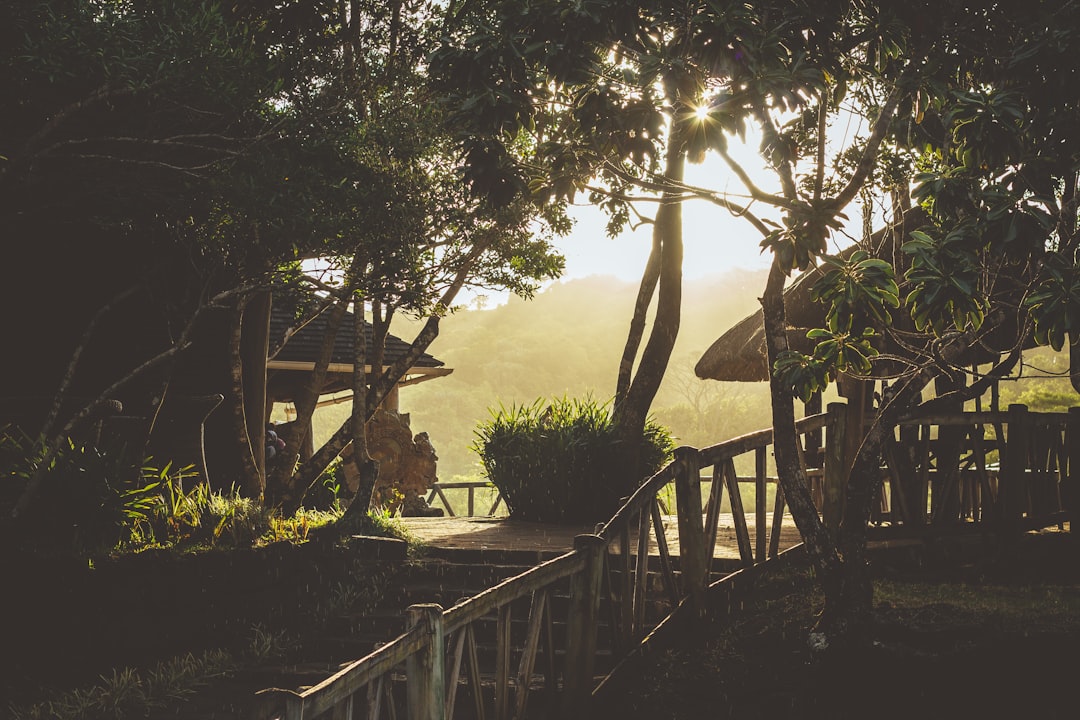 Treehouse