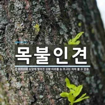 목불인견 뜻 유래 예문 반대말 유의어 안내_33