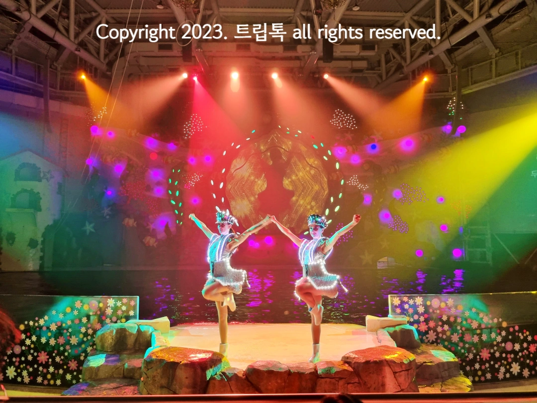 빛이나는 옷을 입은 두 여자가 양손을 벌리고 무대에서 공연을 한다