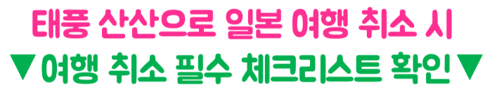 태풍-산산-후쿠오카-오사카-도쿄-영향-폭우-대비-비행기-결항-지연-보상-확인-태풍-여행-준비물-일본-여행-취소-주의-사항