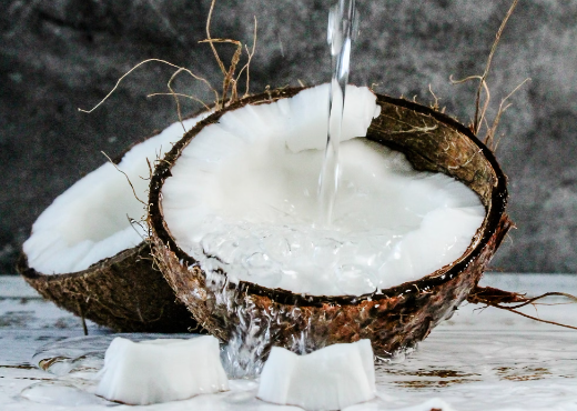 코코넛오일 효능 : 항산화