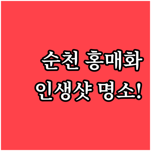 3월 순천 여행 선암사 홍매화와 매곡..