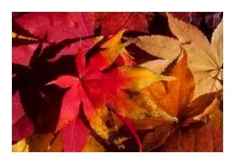 7080 무료음악듣기