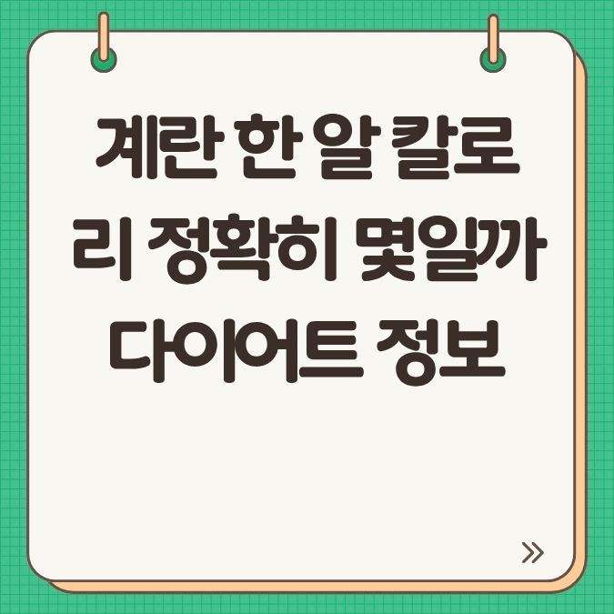 계란 한 알 칼로리 정확히 몇일까 다이어트 정보