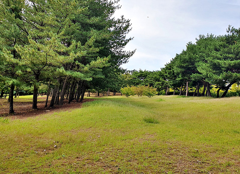 경기도 고양시 일산 정발파크골프장 소개