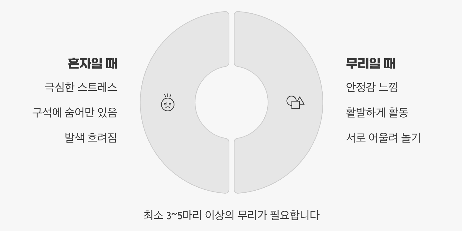 '혼자가 아닌, 함께'가 평화를 부른다