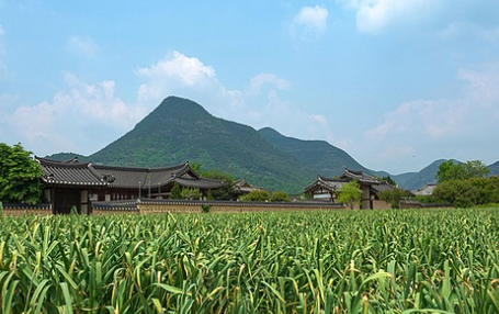 의성 산수유 축제