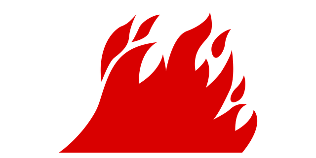 불 일러스트