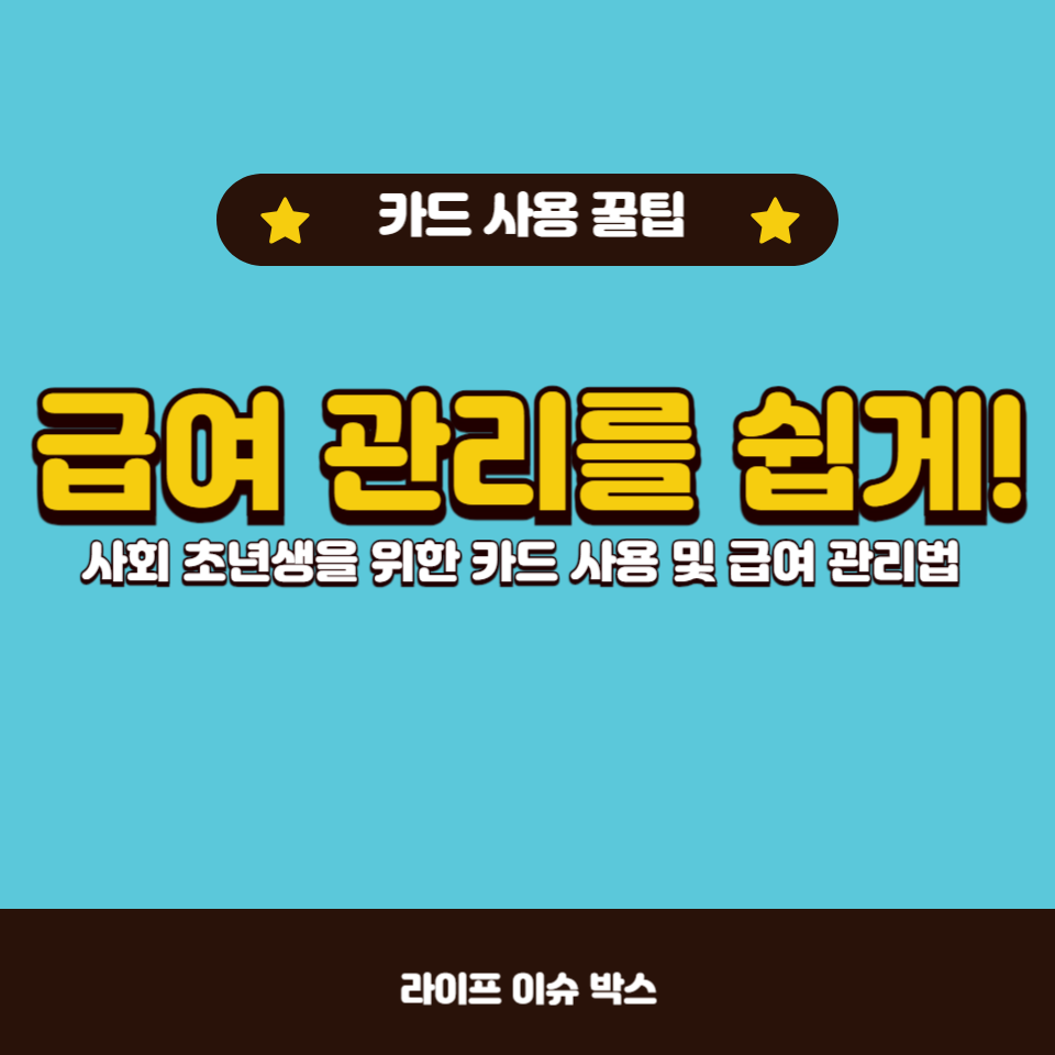 사회 초년생을 위한 카드 사용법과 급여 관리법