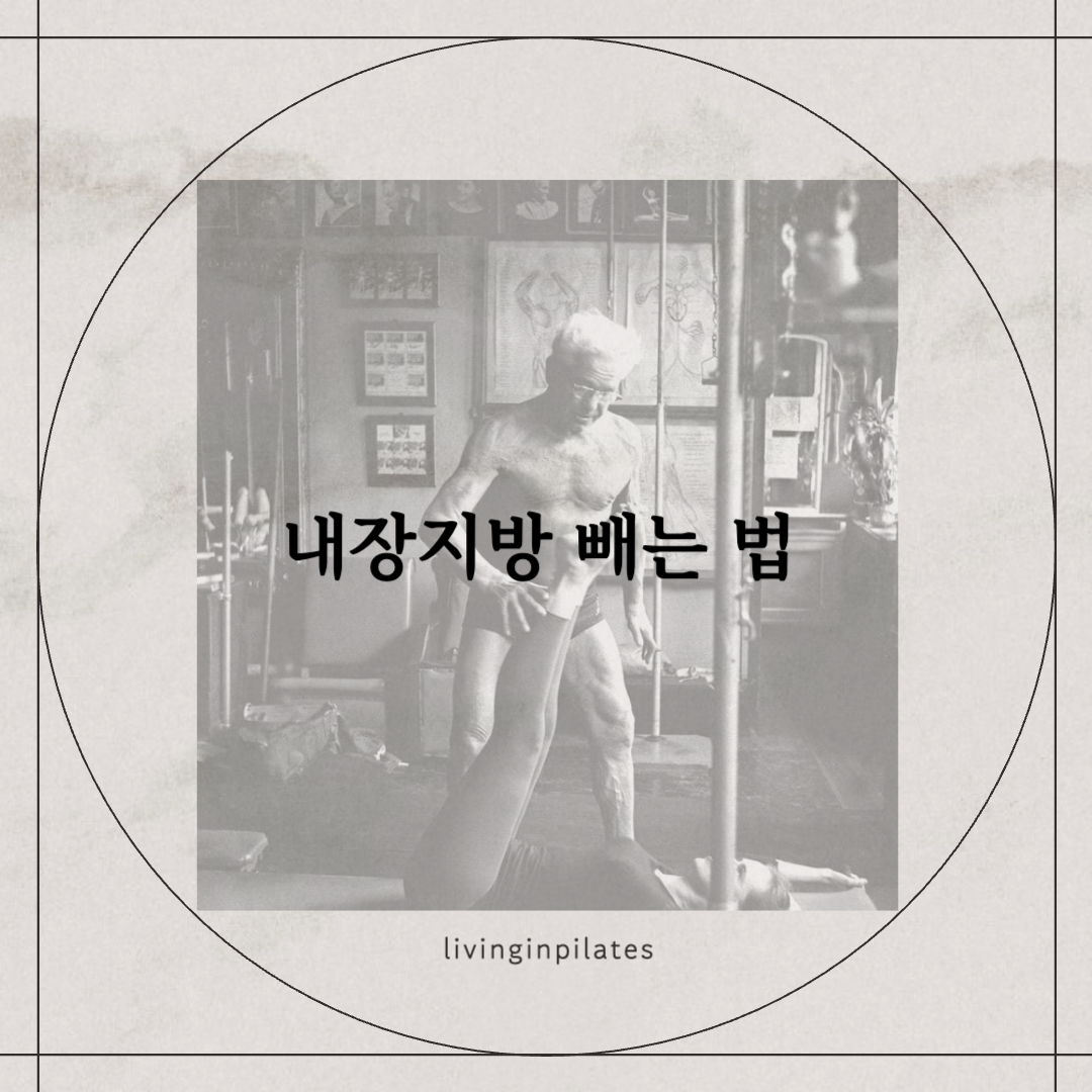 내장지방 빼는 법