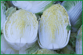 이마트, 롯데마트, 홈플러스, 농협 절임배추 사전예약