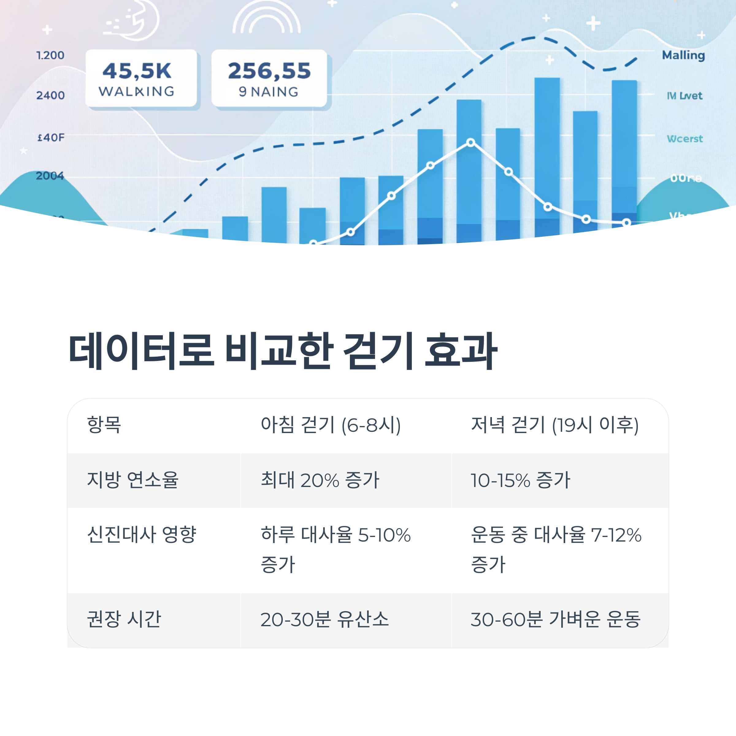 데이터로 비교한 걷기 효과