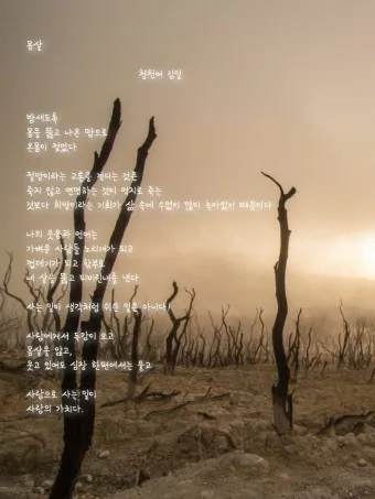 지부작족 뜻 유래 의미 어리석음 고사성어_10