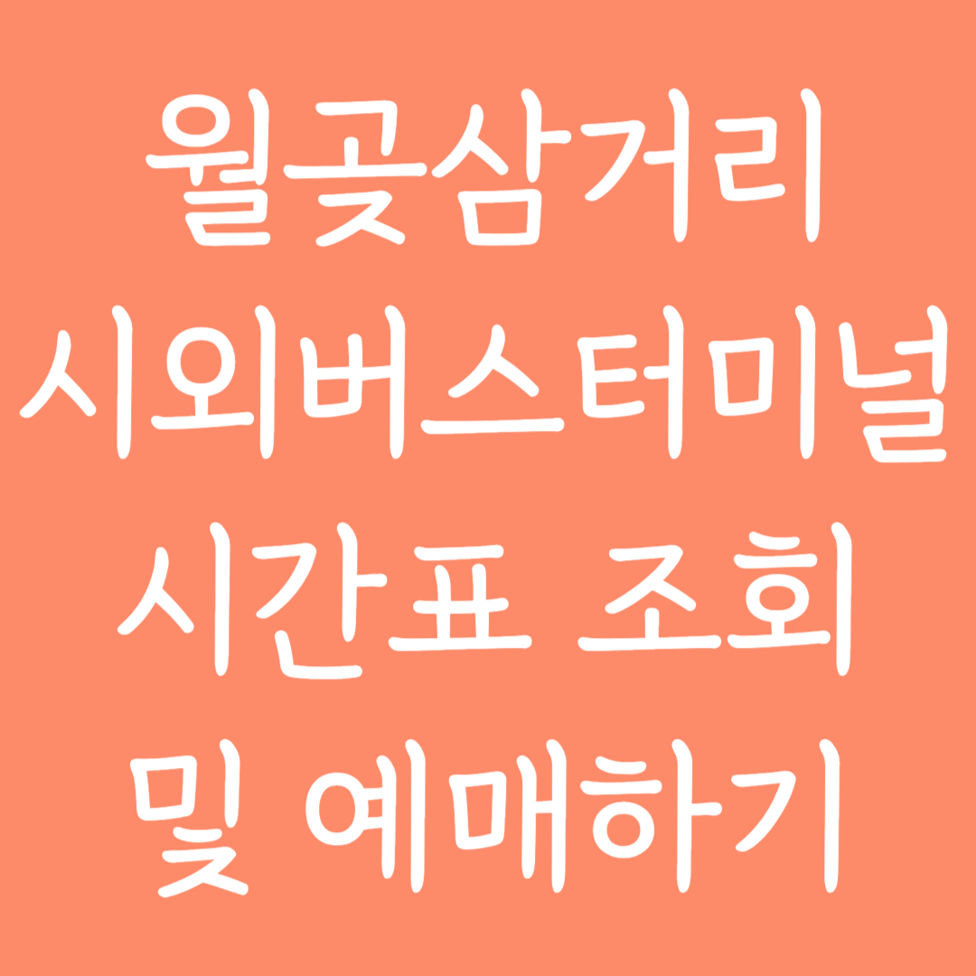 월곶삼거리 시외버스터미널 시간표조회 및 예매하기