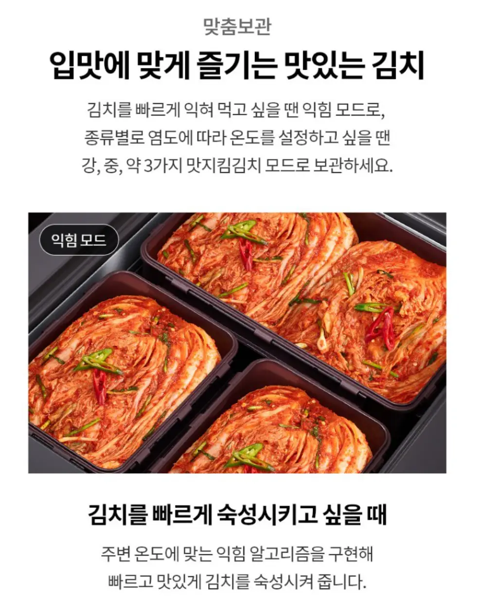 사진20